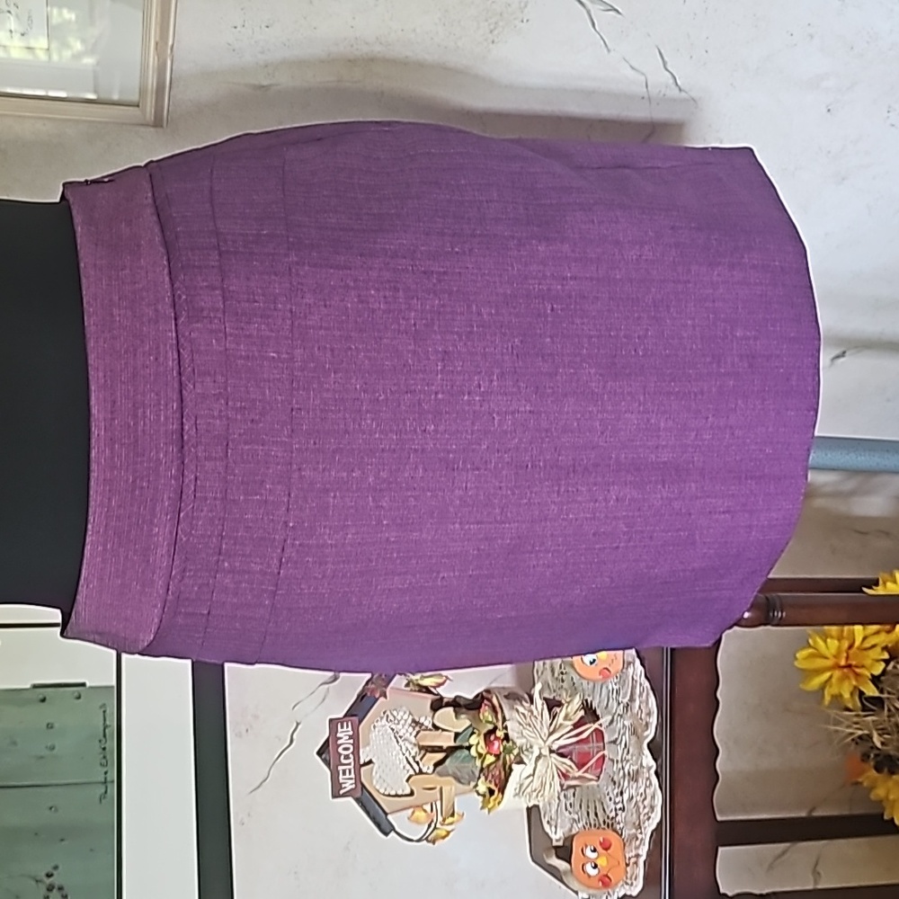 The Limited Purple Magenta A-line Pencil Skirt Above the Knee Women's Size 4